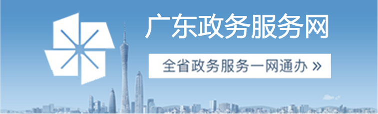 广东省政务服务网：进入广东省政务服务网。